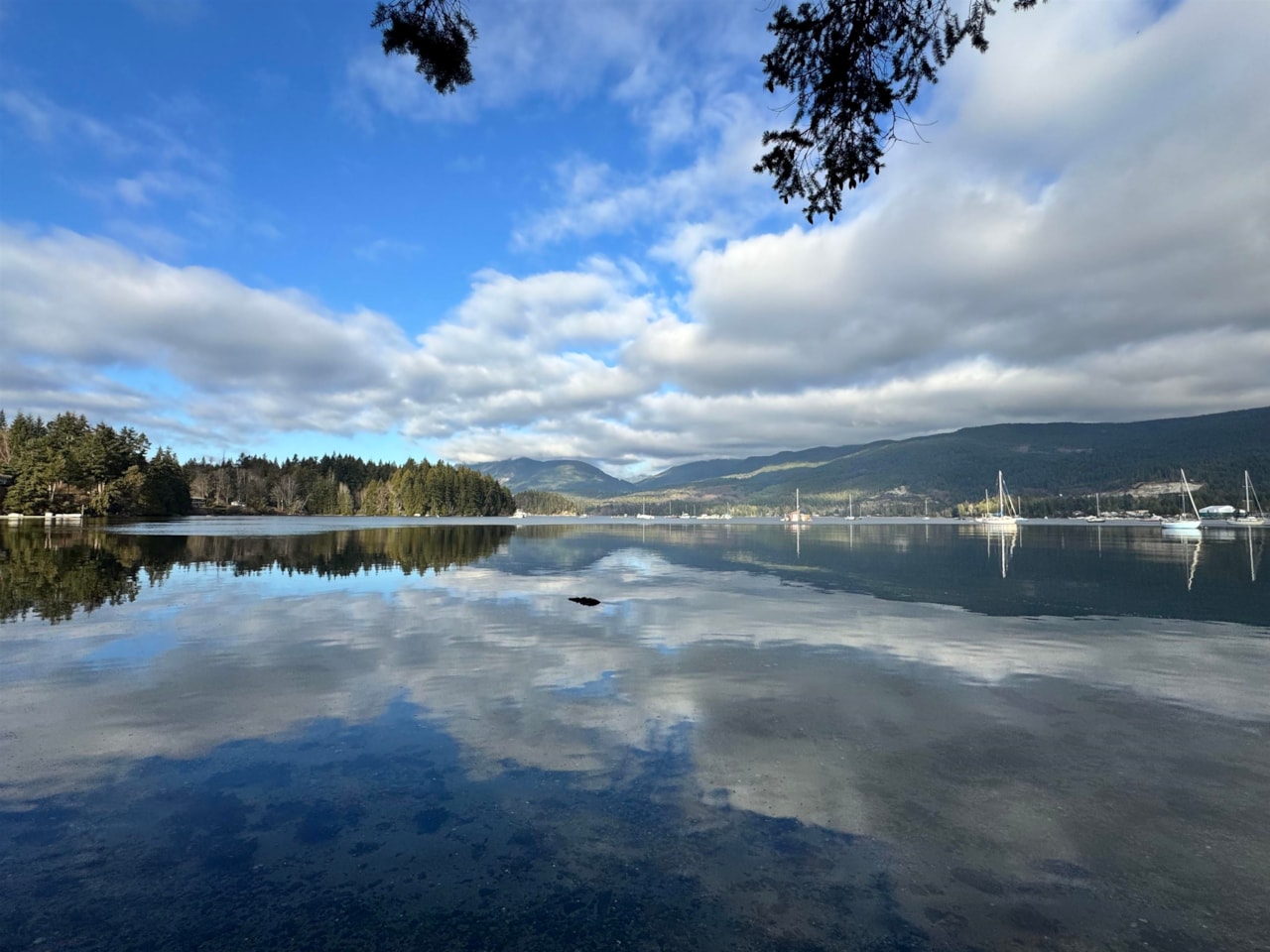 179_R2974002_03 179_R2974002_03