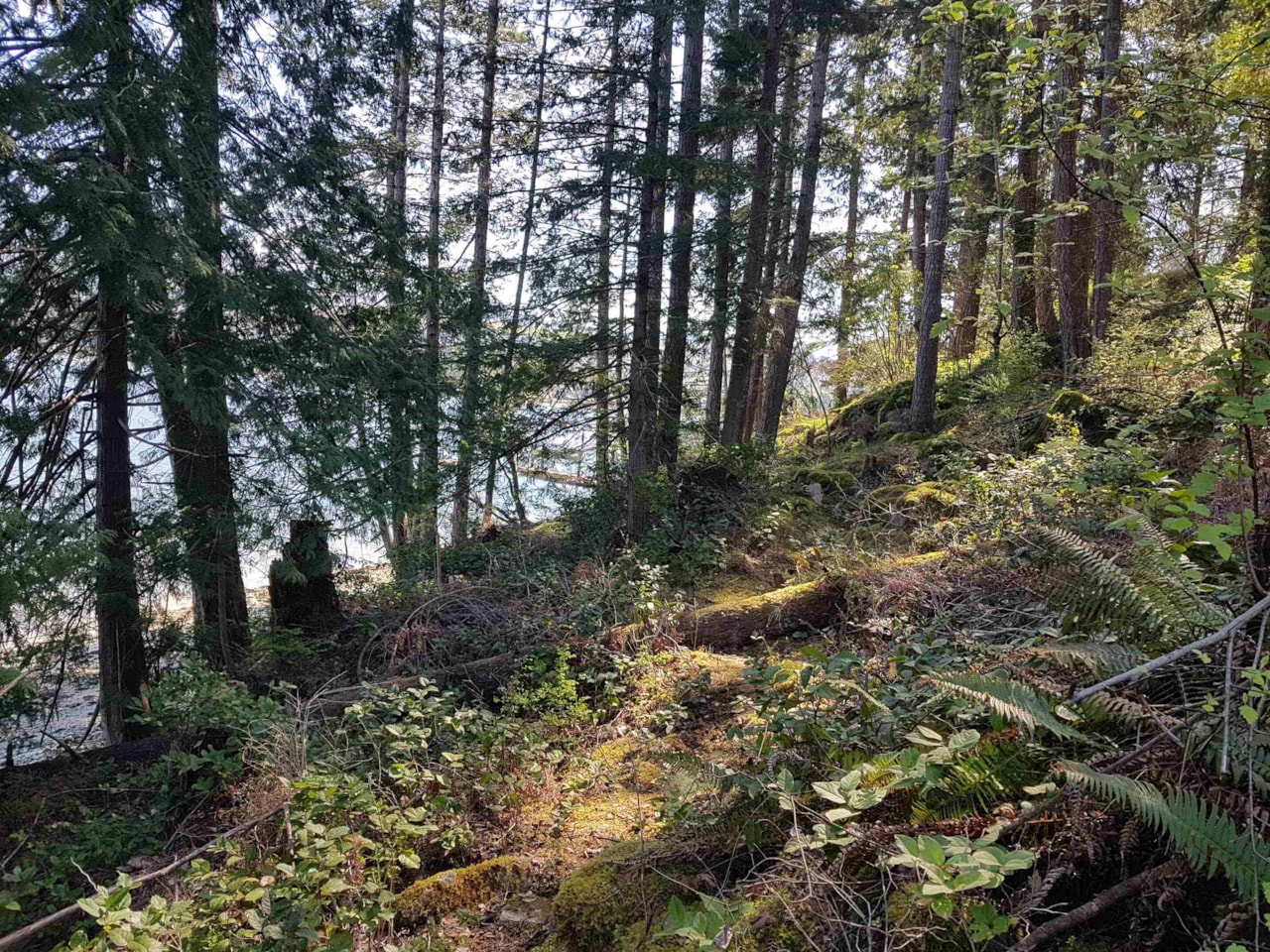 179_R2974002_20 179_R2974002_20